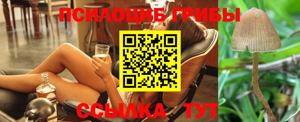 наркота  Галлюциногенные грибы ЛСД  Вход с VPN  Псилоцибиновые грибы Cubensis  Санкт-Петербург 